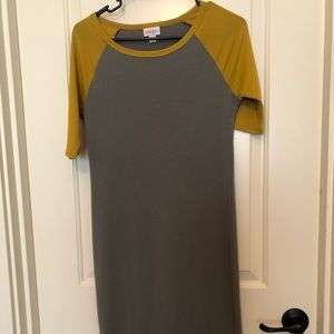 Lularoe dress-Julia style